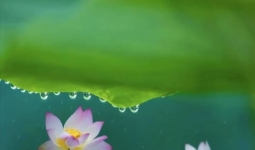 ɹʧ