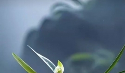 还要给自己找理由