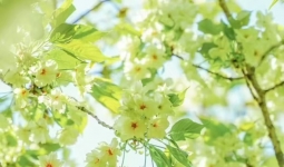 懂道理